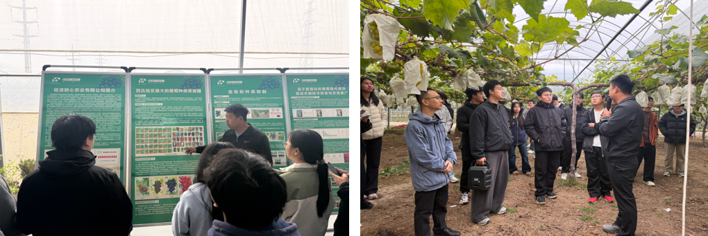 微信图片_2026-10-27_150040_898.png